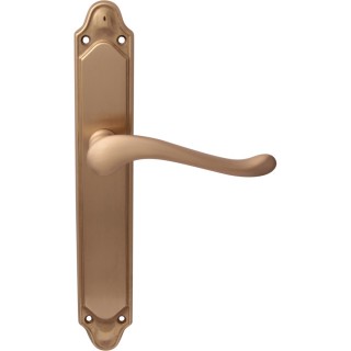 Дверная ручка на планке 129/158 Pass Palma Матовая латунь/латунь Дверная ручка на планке 129/158 Pass Palma Матовая латунь/латунь