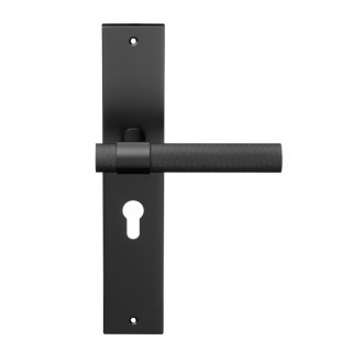 Дверная ручка 334/P06 CYL ALYA ЧЕРНЫЙ МАТОВЫЙ (FIXA) Дверная ручка 334/P06 CYL ALYA ЧЕРНЫЙ МАТОВЫЙ (FIXA)